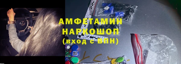 индика Мосальск