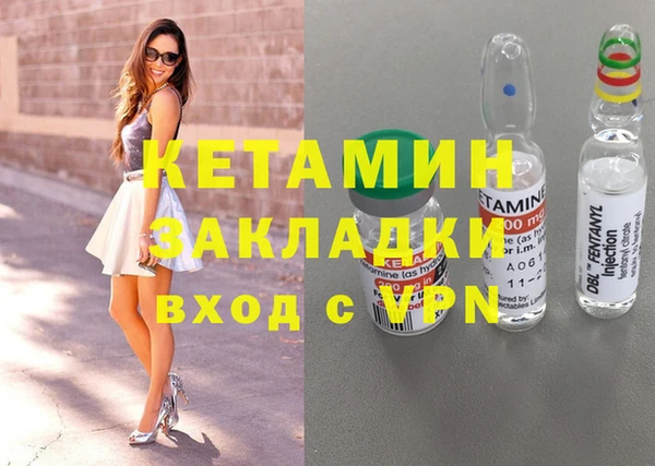 стаф Ельня