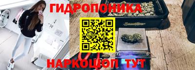 гашик Жуковский