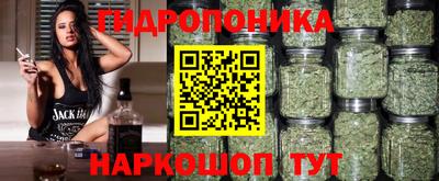 гашик Жуковский