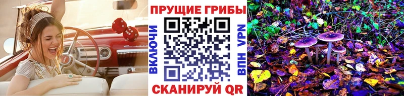 mega tor  Сосновоборск  Галлюциногенные грибы GOLDEN TEACHER  купить  сайты 